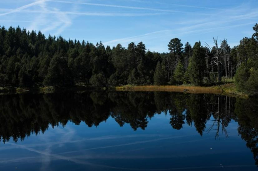 Living Timeless- Black Forest Style- Schoenwald Buitenkant foto