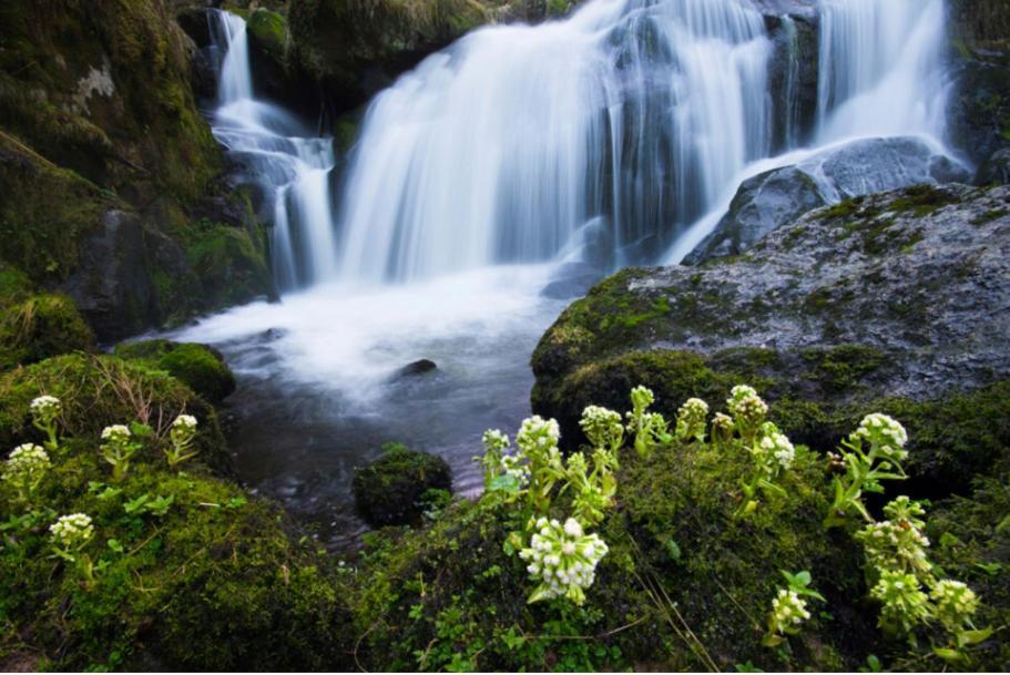 Living Timeless- Black Forest Style- Schoenwald Buitenkant foto