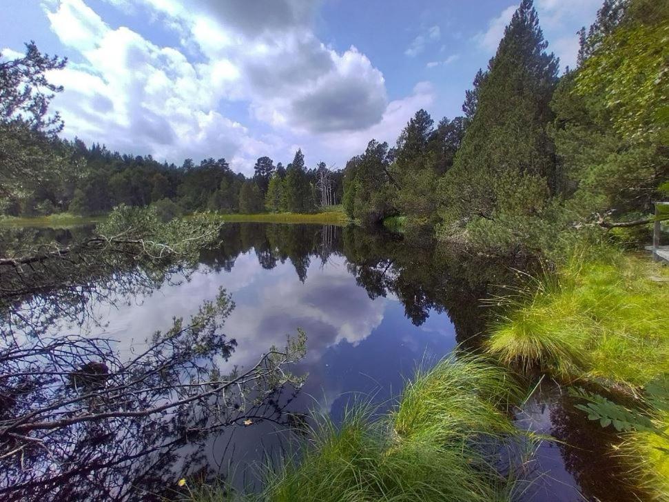 Living Timeless- Black Forest Style- Schoenwald Buitenkant foto