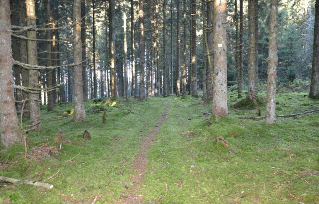 Living Timeless- Black Forest Style- Schoenwald Buitenkant foto