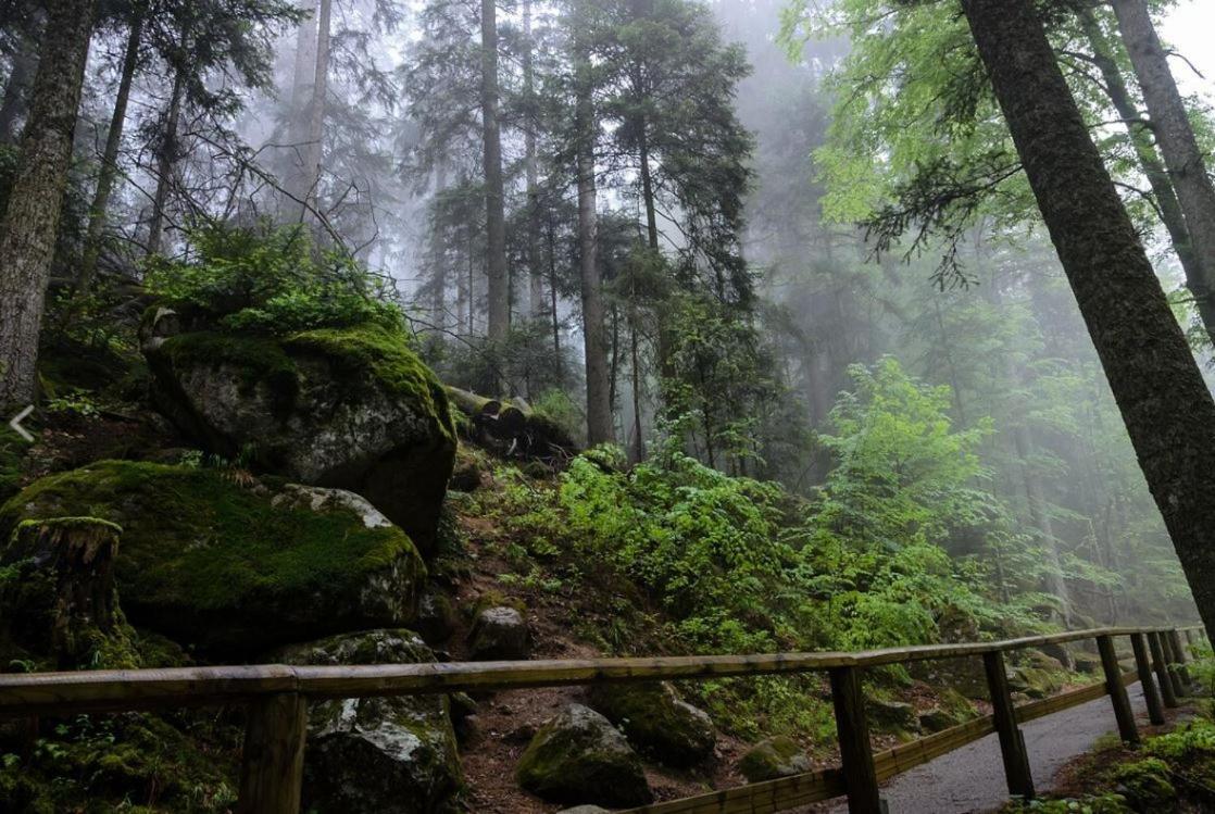 Living Timeless- Black Forest Style- Schoenwald Buitenkant foto